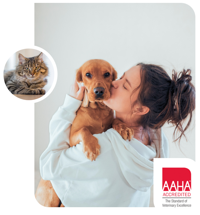 Pet Heartworm Care